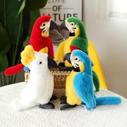 可爱彩色鹦鹉公仔金刚小鸟毛绒玩具小孩生日节日礼物