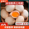 农家散养土鸡蛋40枚新鲜柴鸡蛋孕妇笨鸡蛋正宗草鸡蛋谷物蛋整箱