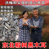 2024年东北特产黑木耳新秋耳木耳小碗耳无根野生秋木耳125克