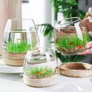 生态瓶微景观鱼玻璃圆形，办公室桌面小型迷你鱼缸创意diy造景摆件