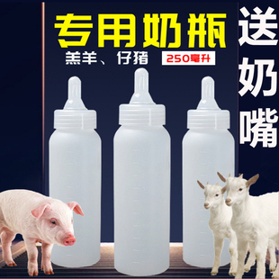 250ml羔羊奶瓶仔猪奶壶宠物，用奶瓶小猪，硅胶奶嘴养殖用品