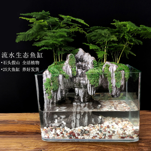 大鱼缸流水苔藓微景观生态，瓶乌龟盆栽盆景植物室内办公室水培绿植