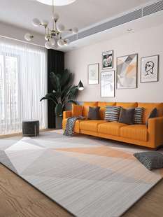 高档客厅地毯卧室现代轻奢茶几毯高级全铺床边房间耐脏易打理(易打理)