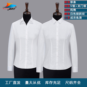 长袖女衬衫lnc150ab白色全棉，细斜纹职业装，正装商务修身免烫衬衣