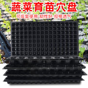 多功能育苗盘穴盘蔬菜秧苗塑料托盘菜苗种植营养钵育苗神器大号