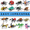 中国积木昆虫男孩拼装玩具，益智力螳螂，模型儿童小颗粒动物拼图礼物