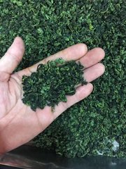 铁观音2023新秋茶清香型茶叶铁观音农产品安溪新茶250g
