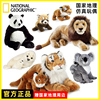国家地理毛绒玩偶玩具动物大号熊猫狮子老虎海豹考拉公仔礼物