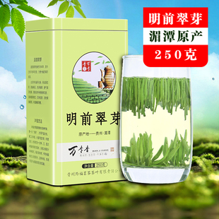 万季香湄潭翠芽2024新茶贵州茶叶明前特级雀舌散装炒青绿茶250克