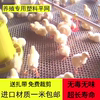 鸡用漏粪板鸭鹅用禽用加厚塑料漏粪网，养鸡设备鸡舍地板养殖器械