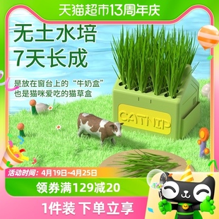 猫草盆栽水培化毛球草种子粒非已种好猫薄荷懒人幼猫零食猫咪用品
