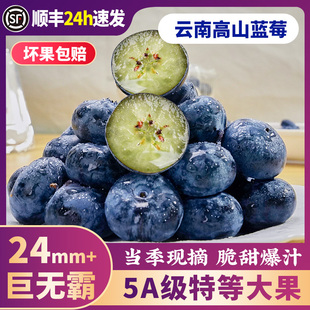 云南蓝莓鲜果特大礼盒高山新鲜水果应当季整箱5斤一颗蓝梅超