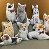 diy定制抱枕3d照片宠物，纪念枕头猫咪狗，异形来图创意礼物可印