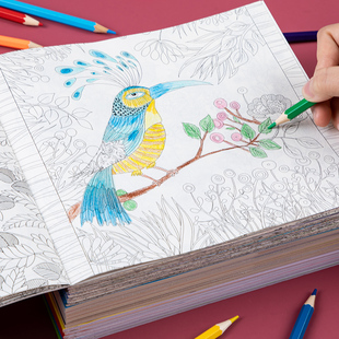 儿童画画书涂色绘本秘密花园鸦填色本绘3-6岁幼儿园早教益智玩具