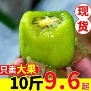 陕西眉县徐香猕猴桃，绿心奇异果孕妇儿童新鲜水果，果园直发