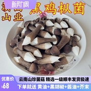 云南高原鸡枞菌新鲜肥嫩山珍特产味道鲜美营养丰富空运