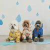 韩国宠物狗狗防水全包雨衣雨披 中型小型犬四脚连帽泰迪比熊跨境