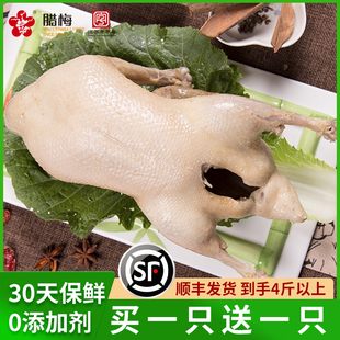 南京盐水鸭即食1.1kg卤味，熟食盐水鸭腿腊梅特产正宗老字号