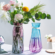 特大号玻璃花瓶透明水养富贵竹百合银柳冬青花瓶客厅麦穗插花摆件