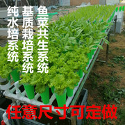 家庭鱼菜共生虹吸种植设备潮汐装置阳台种菜楼顶无土栽培设备