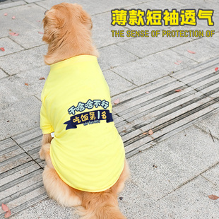 大狗狗衣服夏季薄款金毛，萨摩耶拉布拉多夏天背心中型犬大型犬夏装
