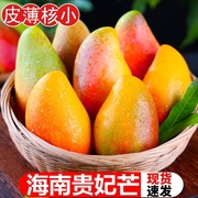 海南贵妃芒果10斤新鲜水果整箱应当季热带红金龙非台农时令