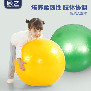 幼儿园大龙球感统训练器材，家用儿童瑜伽，球早教健身锻炼防爆按摩球