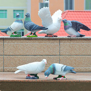 花园庭院装饰品鸽子摆件景观雕塑，鸟类模型白鸽展翅家居树脂工艺品