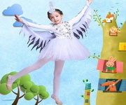 儿童动物表演服装仙鹤舞蹈，演出服女童小白鹤带翅膀鹤语舞纱裙鸟儿