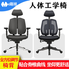 电脑椅人体工学椅办公椅舒适久坐电竞座椅升降椅护腰双背椅
