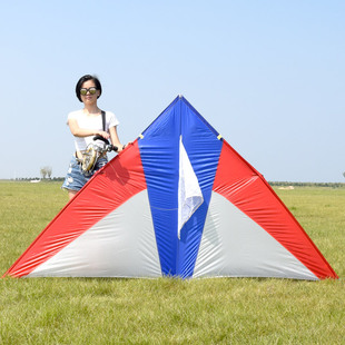 王侉子(王侉子)风筝，潍坊正宗544软伞布碳杆大型成人三角微风易飞