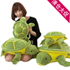 乌龟毛绒玩具可爱娃娃龟 大小眼龟公仔 女生玩偶睡觉浅绿色龟抱枕