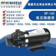 dp-160高压隔膜水泵12v24v110v220v直流，交流压路机净水器洗车喷雾