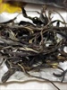 景迈山300年古树普洱茶生茶散茶，云南景迈2023年春茶，散装茶叶500克