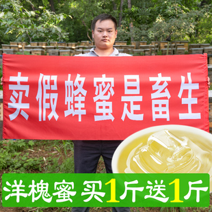 槐花蜂蜜纯正天然洋槐秦岭槐花蜜养蜂农家自产土蜜无添加野生500g