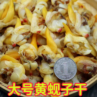丹东东港特产大黄蚬子干海鲜干货蛤蜊肉干去内脏即食500克大号