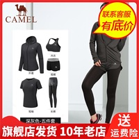 camel女套装，短袖夏季运动衣裤