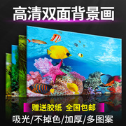 鱼缸背景纸画高清图3d立体水族贴纸鱼缸背景画珊瑚石鱼缸造景装饰