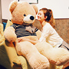 超大号熊公仔(熊公仔，)泰迪熊玩偶熊猫，布娃娃女生抱抱熊毛绒玩具睡觉抱枕