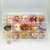 礼盒装贝壳天然海螺贝壳珊瑚，海星标本套装礼地台摆件玩具
