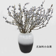 尤加利小白果 桉树天然干树枝 花束花瓶搭配 前台居家装饰
