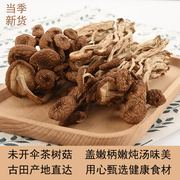 茶树菇不开伞250g干货古田，干茶树茹，新鲜菌菇特产菌类煲汤产地货