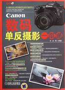 正版 Canon数码单反摄影一本通-(含1DVD) 辛岩等 书店 摄影技法与教程书籍 畅想畅销书