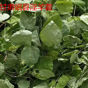 淫羊藿淫羊藿叶淫羊藿茶泡茶100克可以搭配苁蓉锁阳