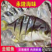 永隆海味淡晒金鲳鱼干，鱼干海鲜干货，咸鱼阳江特产