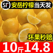 四川安岳柠檬新鲜皮薄，一级新鲜水果当季整箱黄柠檬酸同城