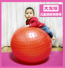 早教颗粒健身球瑜伽大龙球感统儿童大号1米按摩刺球幼儿园巴氏球