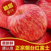 正宗山东烟台栖霞苹果当季新鲜水果整箱，10斤特级冰糖心脆甜红富士