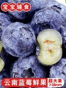 云南蓝莓新鲜当季水果蓝梅鲜果时令高山怡颗甜莓孕妇大果整箱