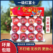 苹果水果新鲜当季脆甜红富士10斤山西现季应季丑批冰糖心整箱